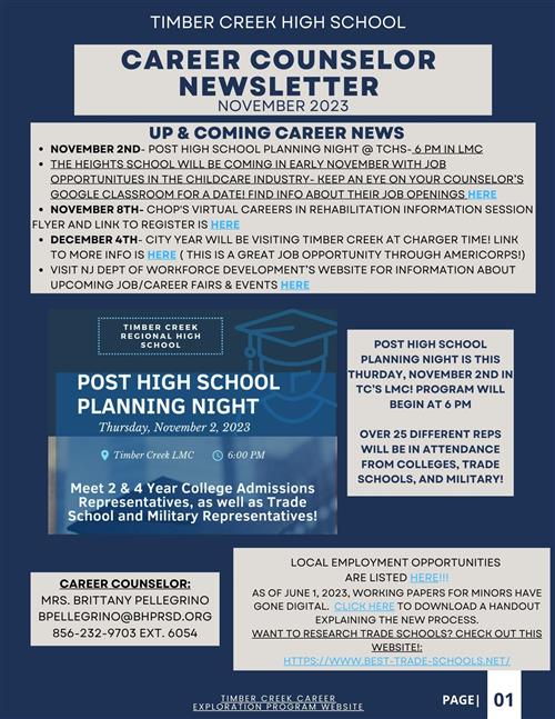 November Career Counselor Newsletter